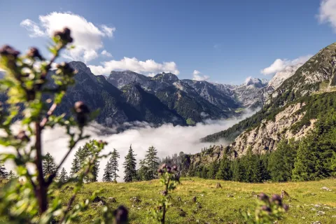 Naturpark Karwendel am Achensee mit Blick auf den stimmungsvollen Nebel im Tal im Sommer